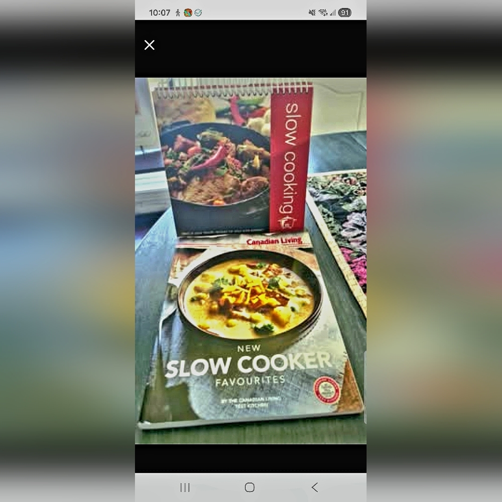 Set of 2 NEW slow cooker cookbooks. One stands alone, great photos.